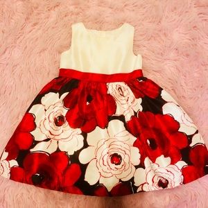 Beautiful Holiday Dress